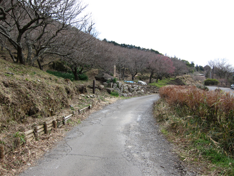 20200122hike (21)